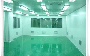 生物凈化工程，【東鑫凈化】為您消除有害病菌