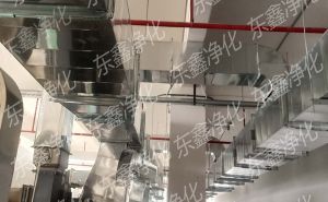 品質(zhì)有保障 溫暖過冬天！百級(jí)無塵車間裝修成本是多少【東鑫凈化】