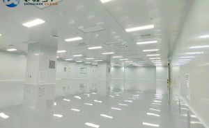 新能源無塵車間，打造高生產(chǎn)新標(biāo)桿【東鑫凈化】