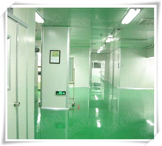 廣東凈化車(chē)間工程